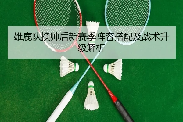 雄鹿队换帅后新赛季阵容搭配及战术升级解析